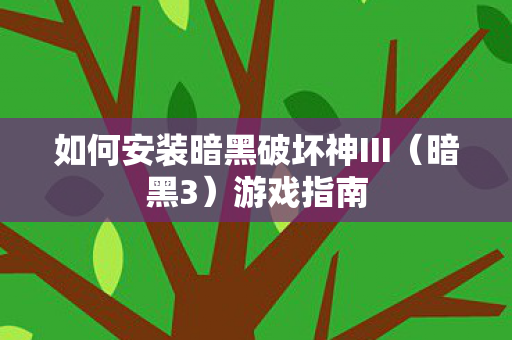 如何安装暗黑破坏神III图片