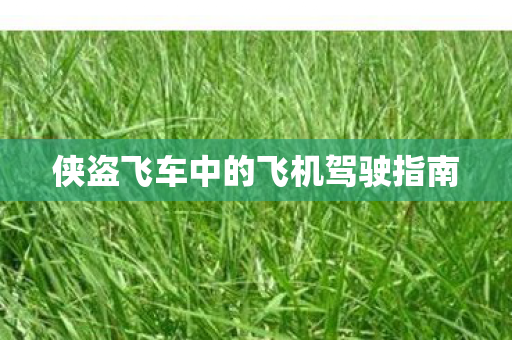 侠盗飞车中的飞机驾驶指南图片