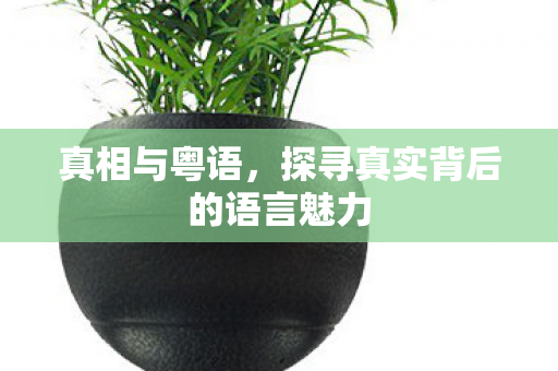 探寻真实背后的语言魅力图片
