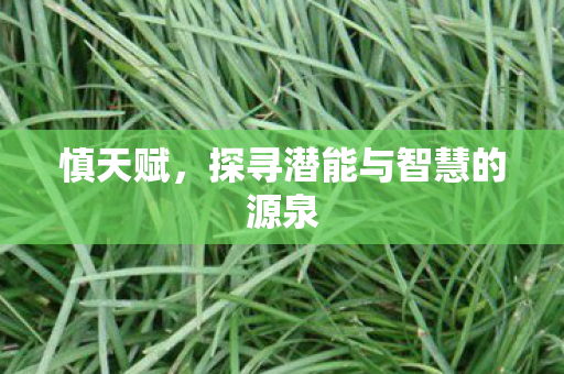 探寻潜能与智慧的源泉图片