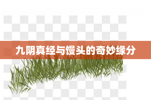 九阴真经与馒头的奇妙缘分图片