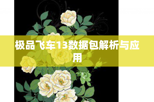 极品飞车13数据包解析与应用图片