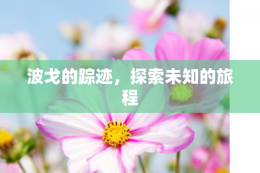 探索未知的旅程图片