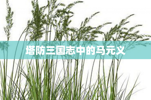 塔防三国志中的马元义图片