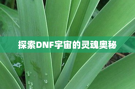 探索DNF宇宙的灵魂奥秘图片