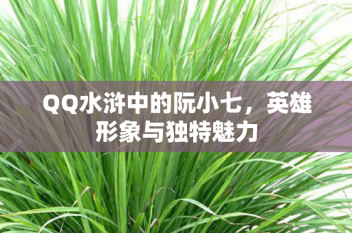 QQ水浒中的阮小七图片