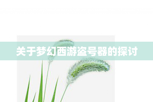关于梦幻西游盗号器的探讨图片