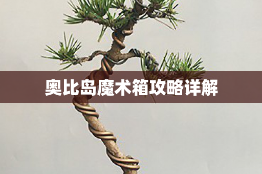 奥比岛魔术箱攻略详解图片
