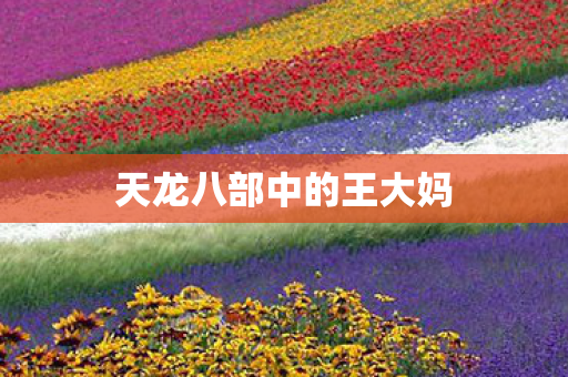 天龙八部中的王大妈图片