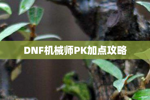 DNF机械师PK加点攻略图片