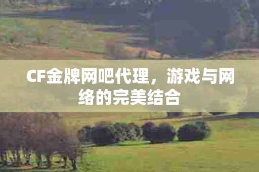 游戏与网络的完美结合图片