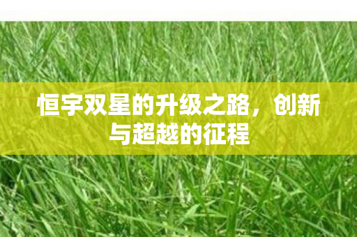 恒宇双星的升级之路图片