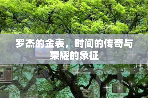 时间的传奇与荣耀的象征图片