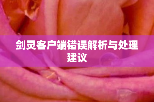 剑灵客户端错误解析与处理建议图片