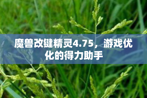 游戏优化的得力助手图片