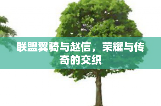 荣耀与传奇的交织图片