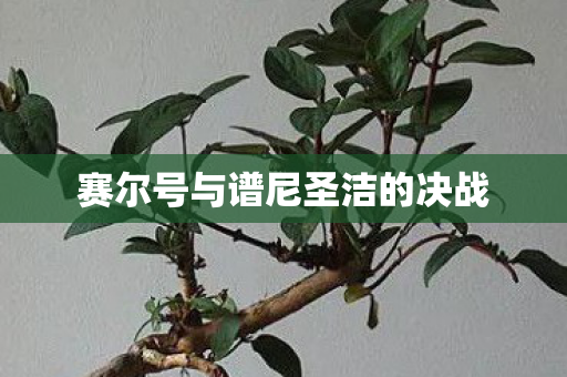 赛尔号与谱尼圣洁的决战图片