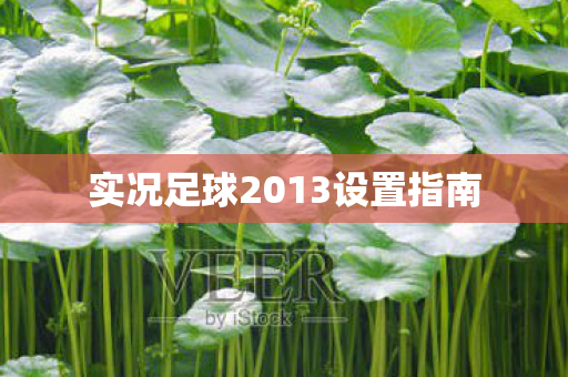 实况足球2013设置指南图片