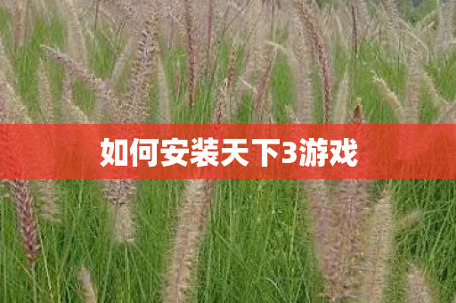 如何安装天下3游戏图片