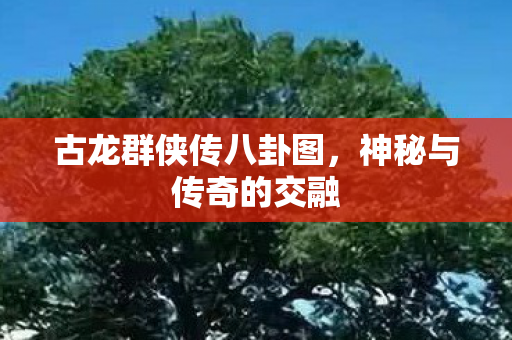 古龙群侠传八卦图图片