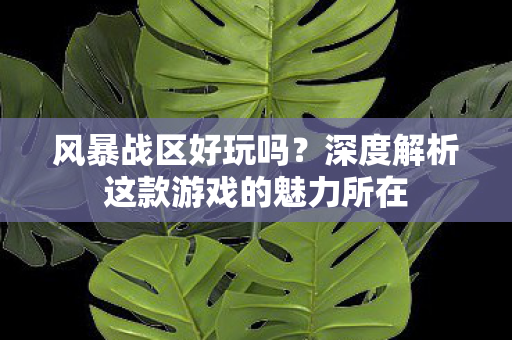 深度解析这款游戏的魅力所在图片