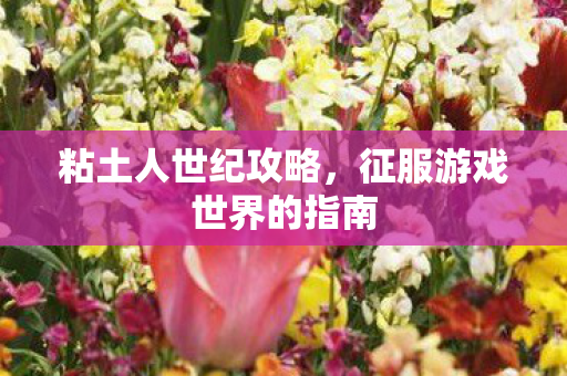 征服游戏世界的指南图片