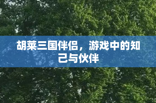 游戏中的知己与伙伴图片