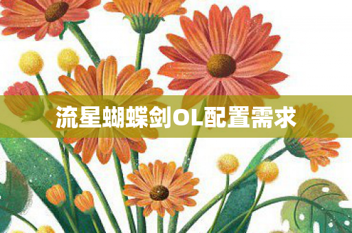 流星蝴蝶剑OL配置需求图片