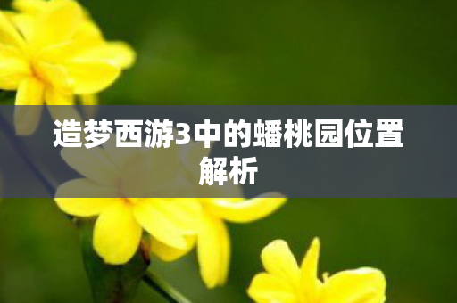 造梦西游3中的蟠桃园位置解析图片