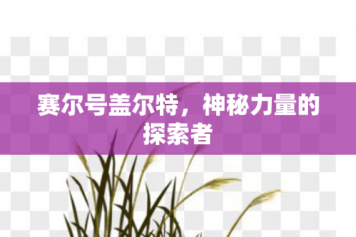 神秘力量的探索者图片