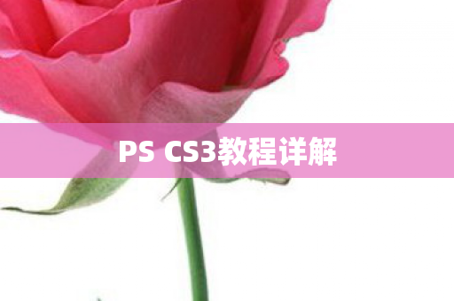 PS CS3教程详解图片