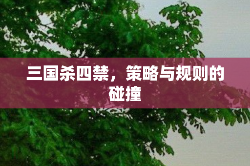 策略与规则的碰撞图片