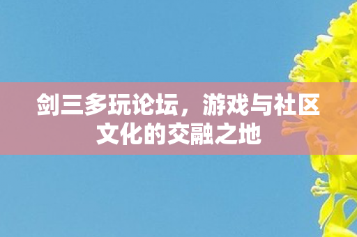 游戏与社区文化的交融之地图片