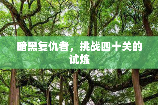 挑战四十关的试炼图片