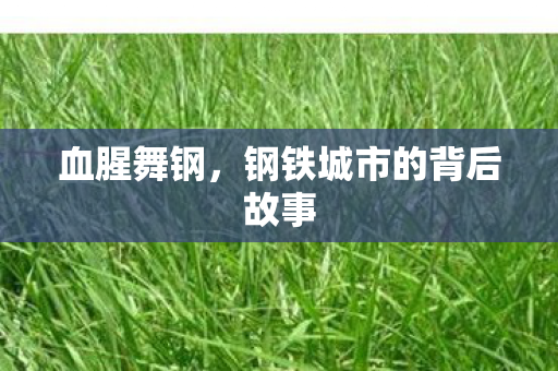 钢铁城市的背后故事图片