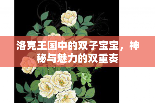 洛克王国中的双子宝宝图片