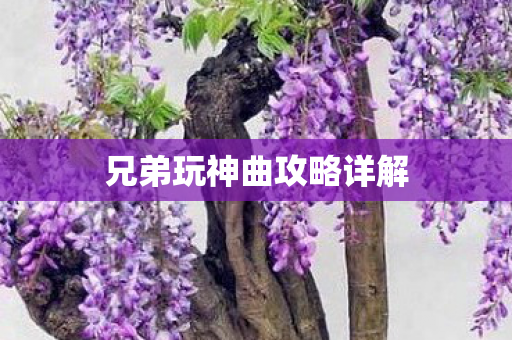 兄弟玩神曲攻略详解图片