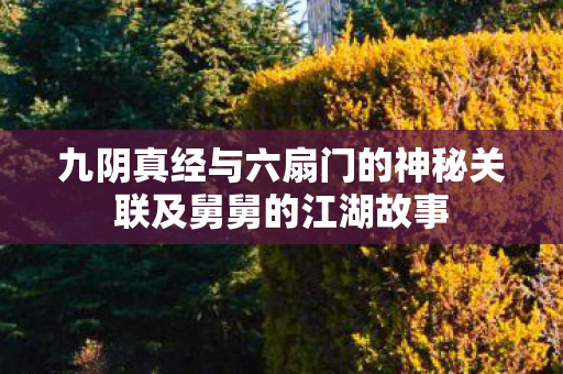 九阴真经与六扇门的神秘关联及舅舅的江湖故事图片