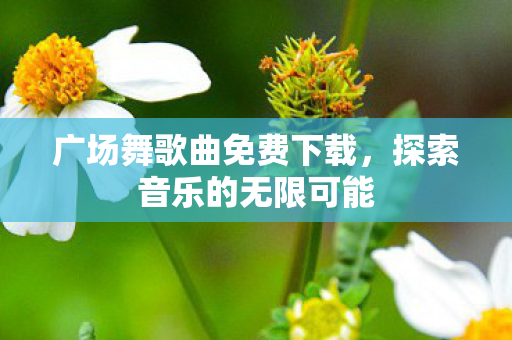 广场舞歌曲免费下载图片