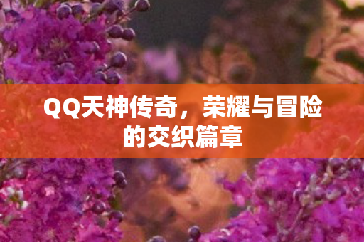 荣耀与冒险的交织篇章图片