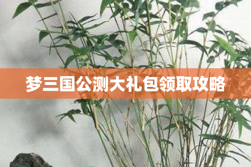 梦三国公测大礼包领取攻略图片