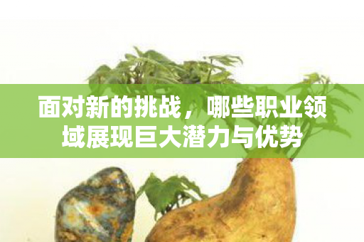 哪些职业领域展现巨大潜力与优势图片