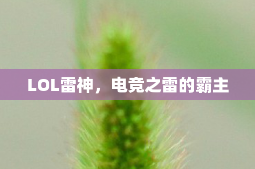 电竞之雷的霸主图片