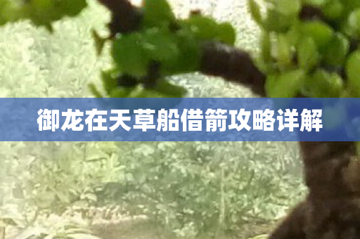御龙在天草船借箭攻略详解图片