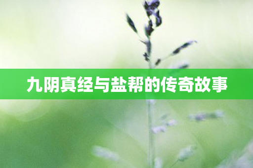 九阴真经与盐帮的传奇故事图片