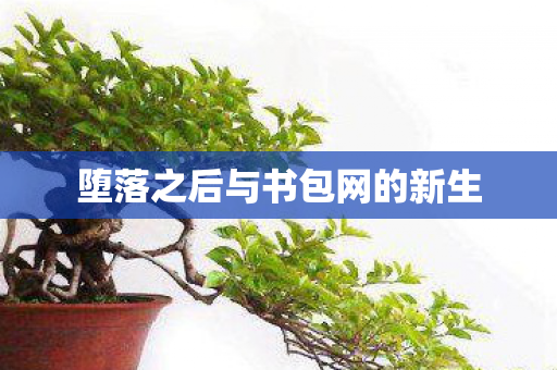 堕落之后与书包网的新生图片