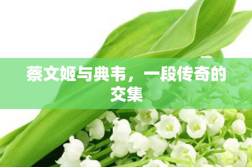 一段传奇的交集图片