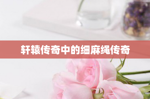 轩辕传奇中的细麻绳传奇图片