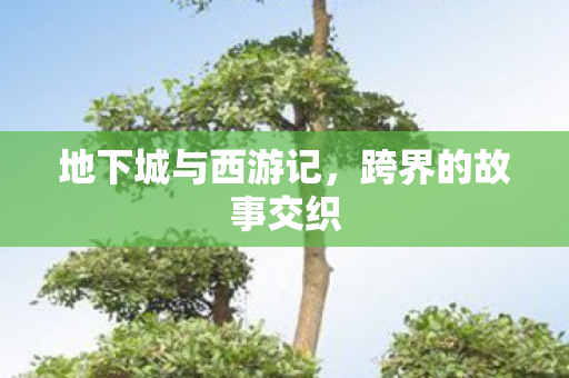 地下城与西游记图片
