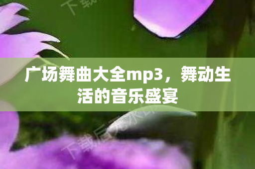 广场舞曲大全mp3图片